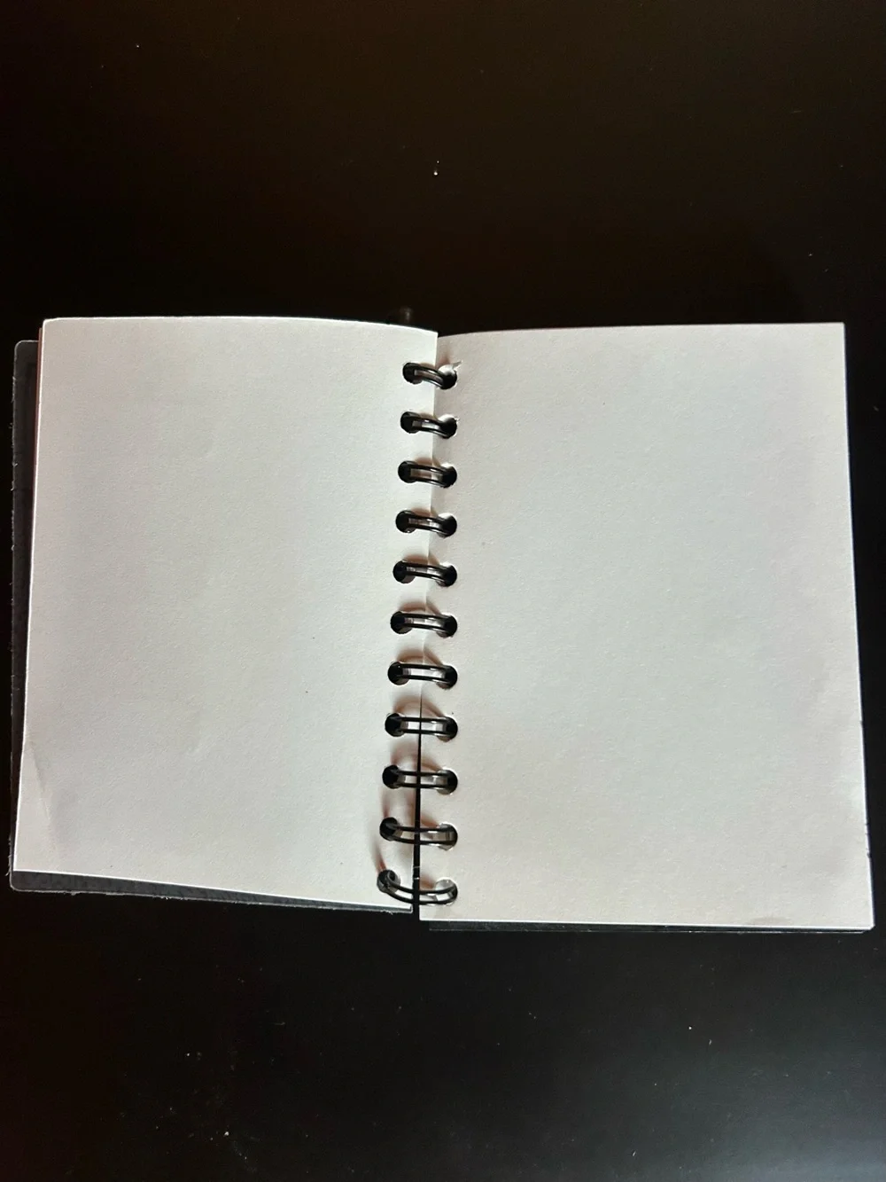 Are You An Artist? Black & White Decorative Sketchbook with Small Pen
